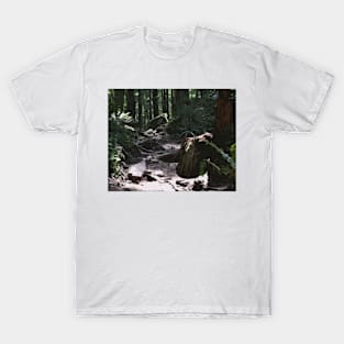 Forest Trail T-Shirt